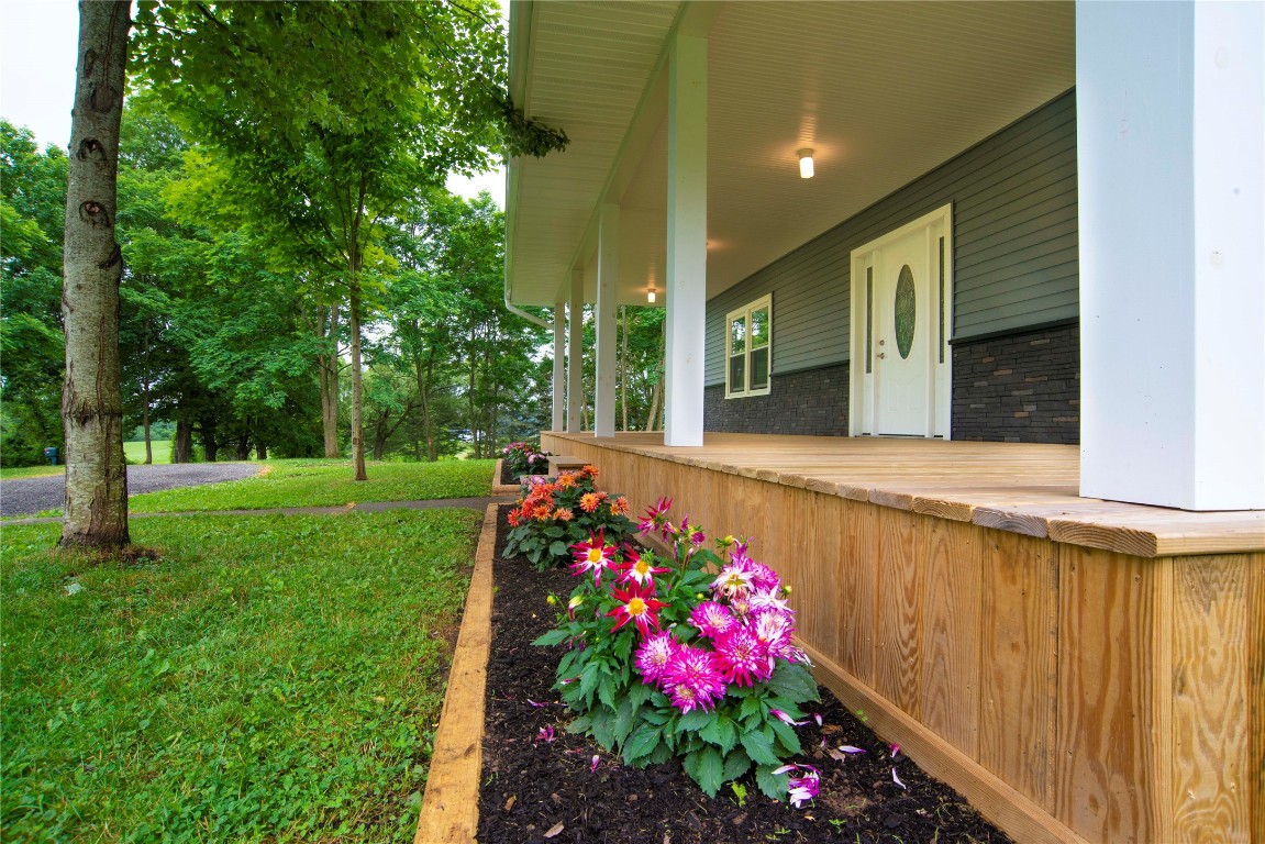259 Goodnough Road Afton, NY 13730 - Photo 32 of 33 Gallery Image 32