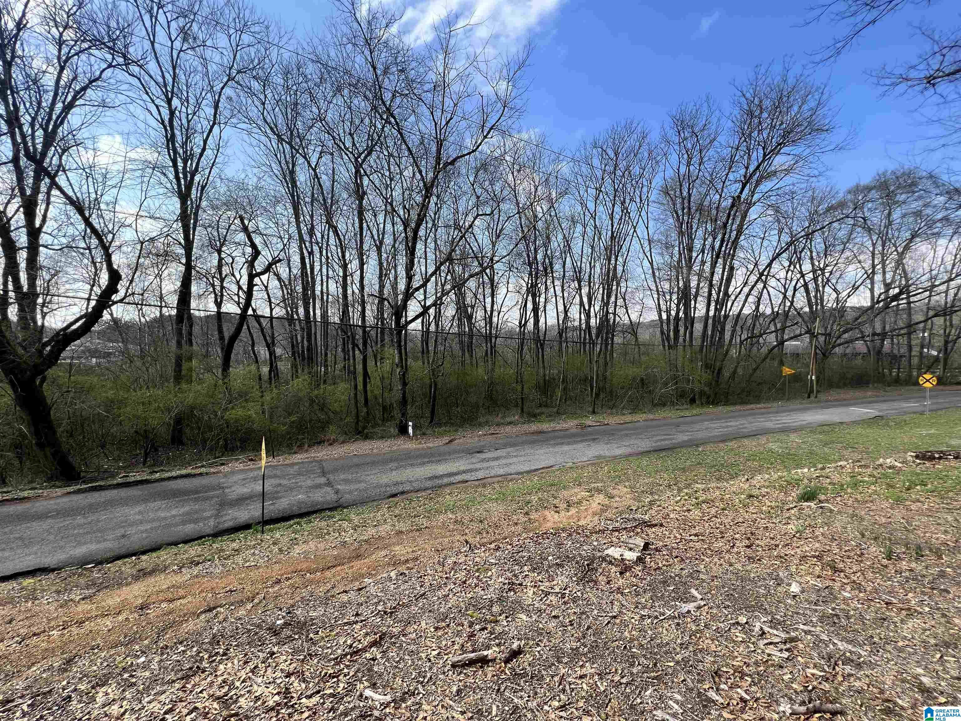 112 Robinson Street, Unit 95 ACRES Springville, AL 35146 - Photo 4 of 5