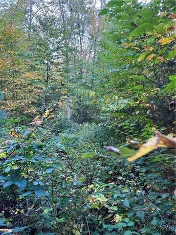 $105,000 | Smartville, Boylston, NY 13083