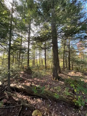 $105,000 | Smartville, Boylston, NY 13083