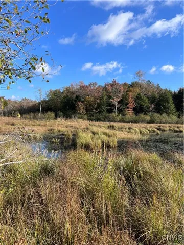 $105,000 | Smartville, Boylston, NY 13083