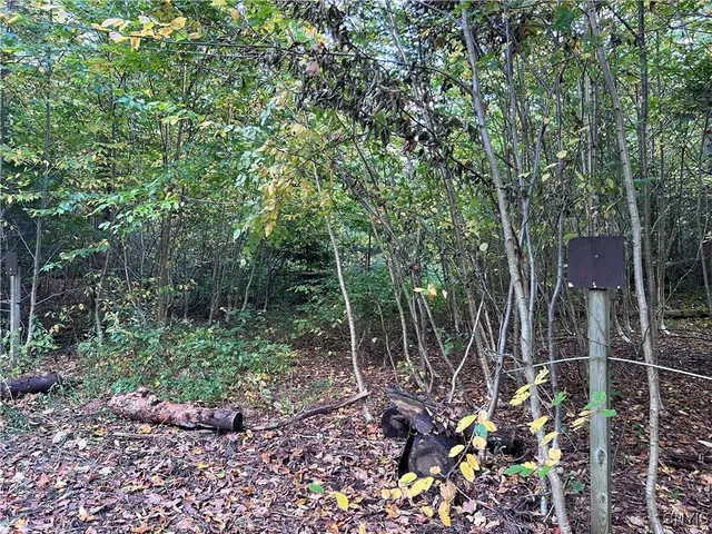 $105,000 | Smartville, Boylston, NY 13083