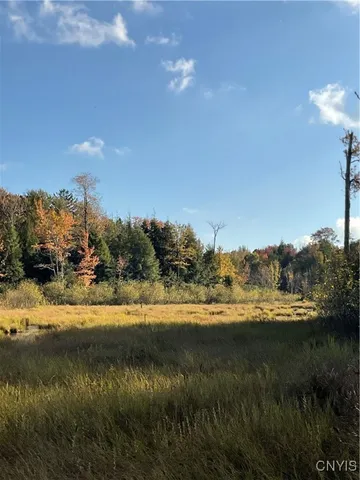 $105,000 | Smartville, Boylston, NY 13083