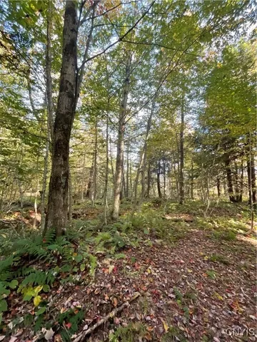 $105,000 | Smartville, Boylston, NY 13083