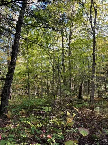 $105,000 | Smartville, Boylston, NY 13083