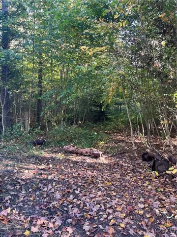 $105,000 | Smartville, Boylston, NY 13083