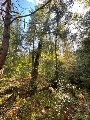 $105,000 | Smartville, Boylston, NY 13083