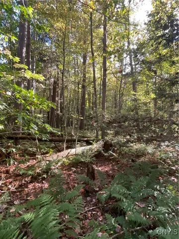 $105,000 | Smartville, Boylston, NY 13083