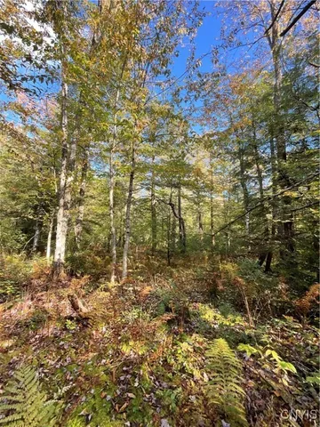 $105,000 | Smartville, Boylston, NY 13083