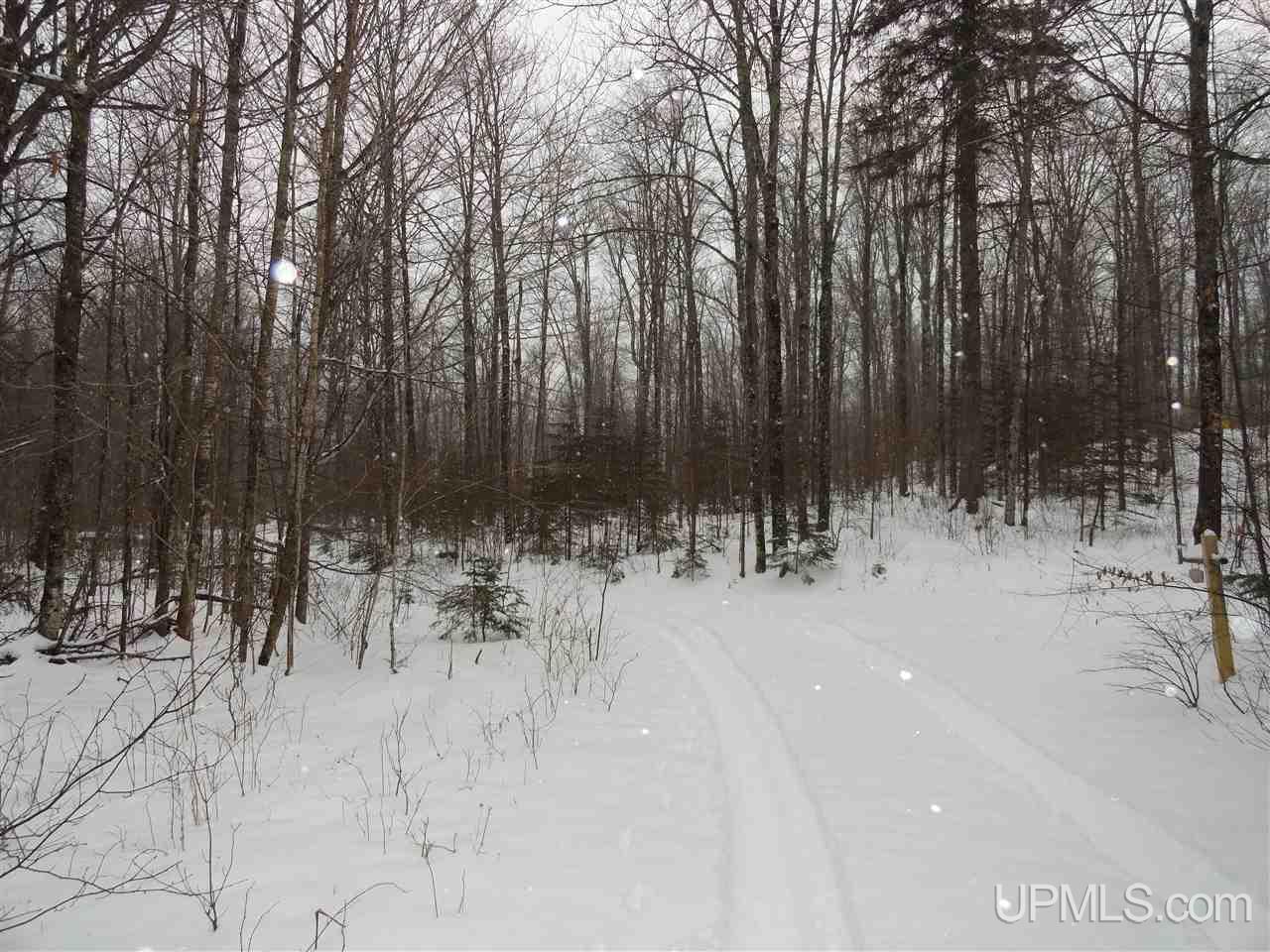 160-acres Off Co Rd 557 Arnold, MI 49819 - Photo 2 of 22