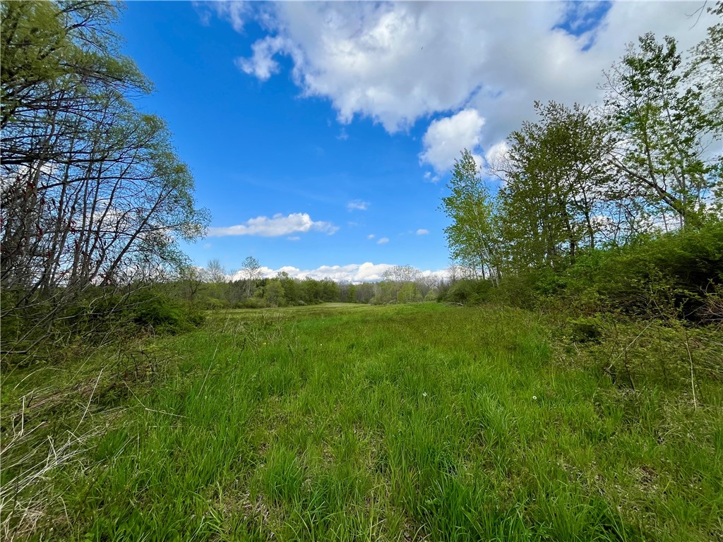 0 Stone/state Route 104 Road Wolcott, NY 14590 - Photo 3 of 6