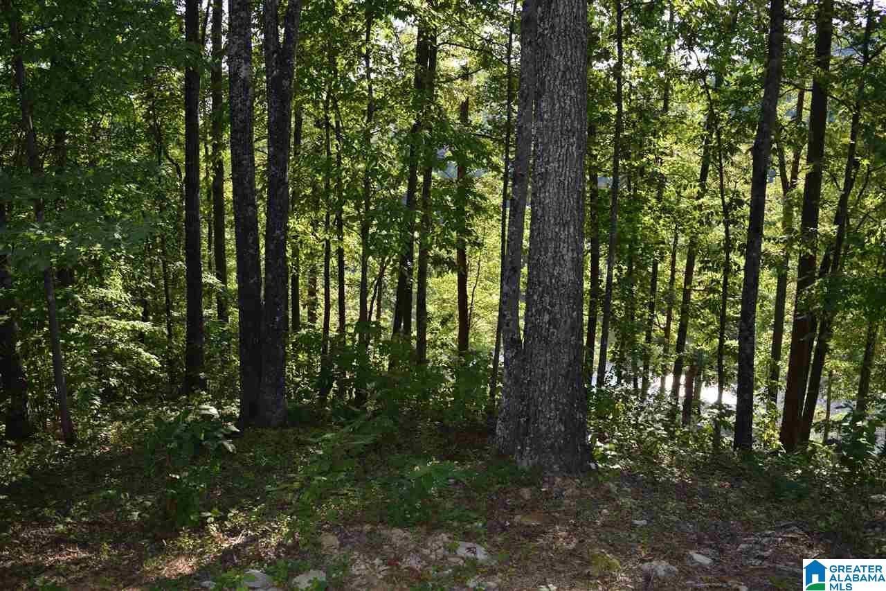 Lot 115 Ridge Drive, Unit 115 Hayden, AL 35079 - Photo 2 of 21