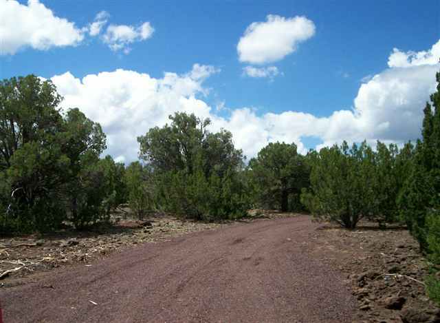 Lot 5 Northfork Ranch Concho, AZ 85924 - Photo 1 of 5