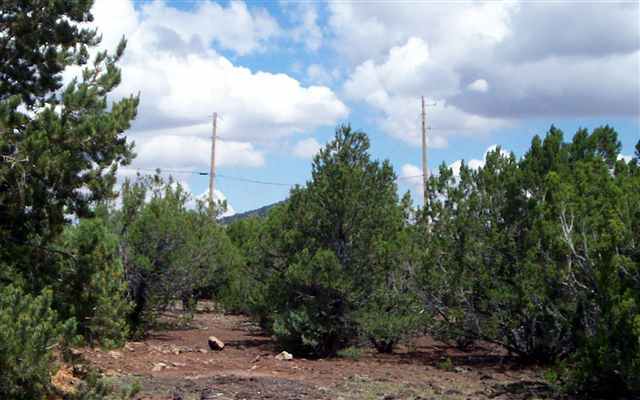 Lot 5 Northfork Ranch Concho, AZ 85924 - Photo 2 of 5
