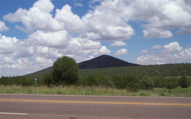 Lot 5 Northfork Ranch Concho, AZ 85924 - Photo 3 of 5
