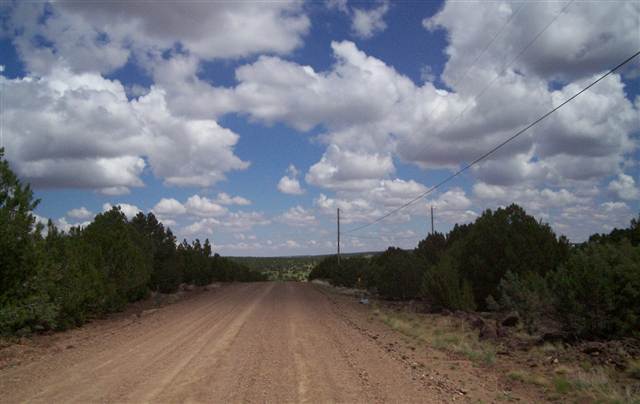 Lot 5 Northfork Ranch Concho, AZ 85924 - Photo 4 of 5
