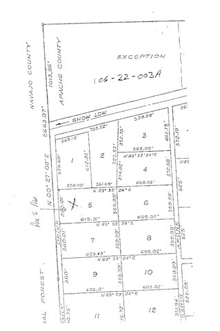 Lot 5 Northfork Ranch Concho, AZ 85924 - Photo 5 of 5