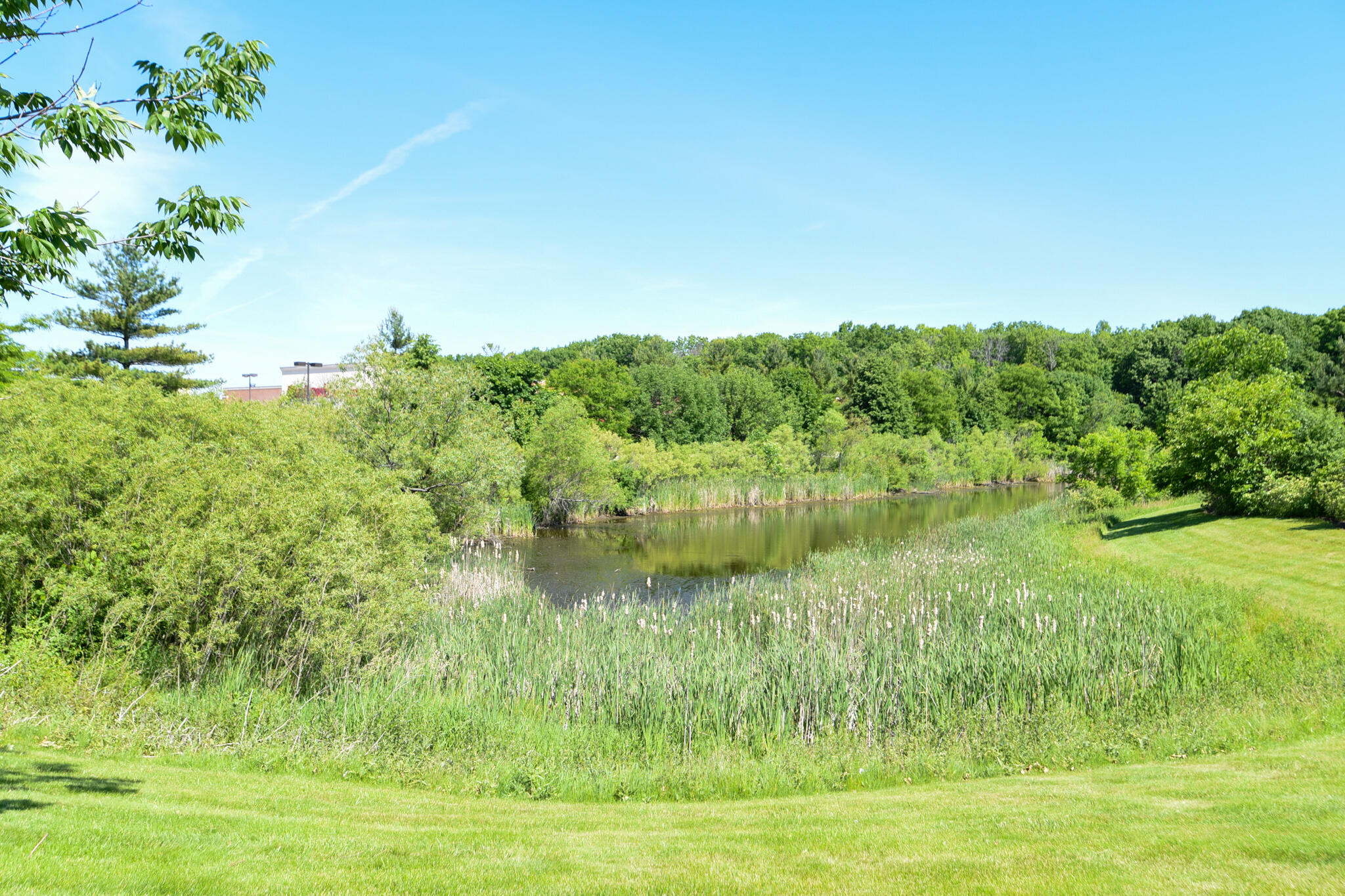 4740 South Forest Point Boulevard New Berlin, WI 53151 - Photo 25 of 26 Pond