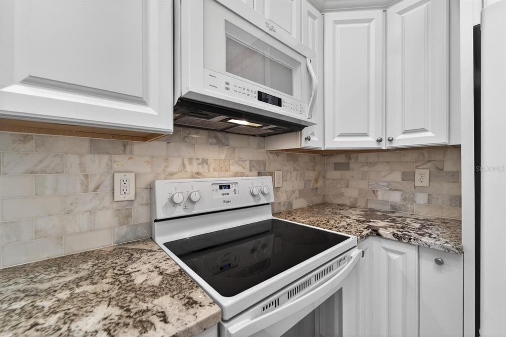 658 Green Valley Road, Unit B3 Palm Harbor, FL 34683 - Photo 3 of 79 Gallery Image 3