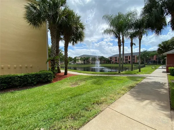 a view of a park with palm trees