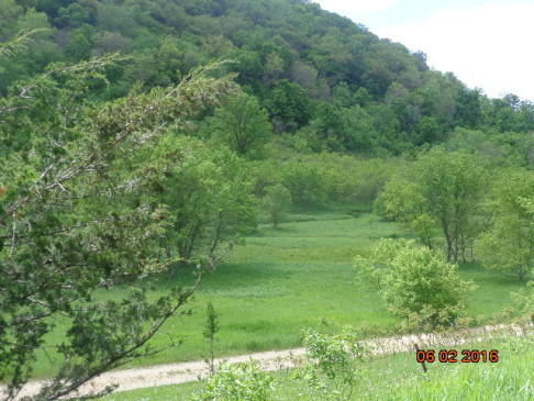 img3155_p4_22359