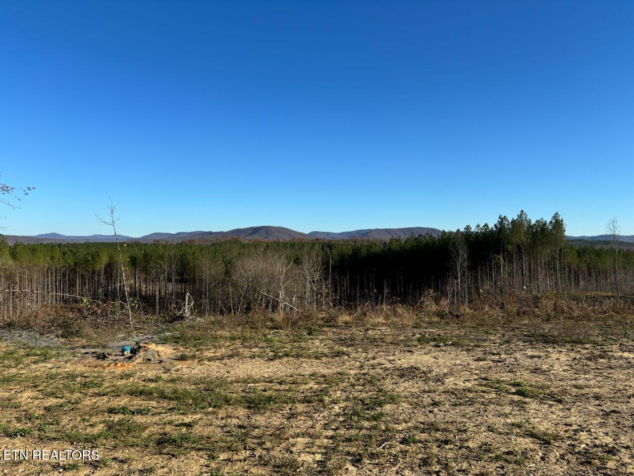 85 Union Hill Road Sunbright, TN 37872 - Photo 5 of 6 IMG_0937