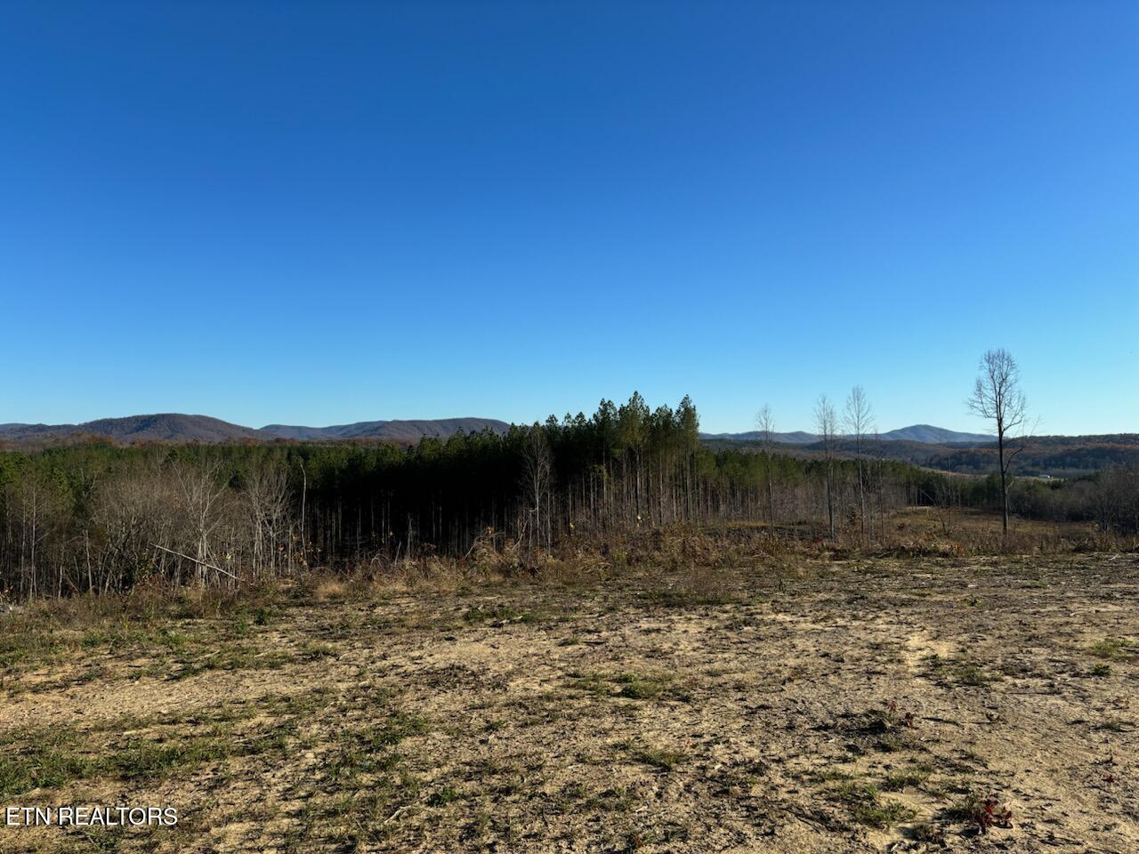85 Union Hill Road Sunbright, TN 37872 - Photo 6 of 6 IMG_0938