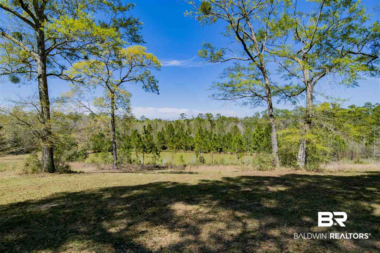17401 Bee Gum Road Bay Minette, AL 36507 - Photo 44 of 46 Pond #2