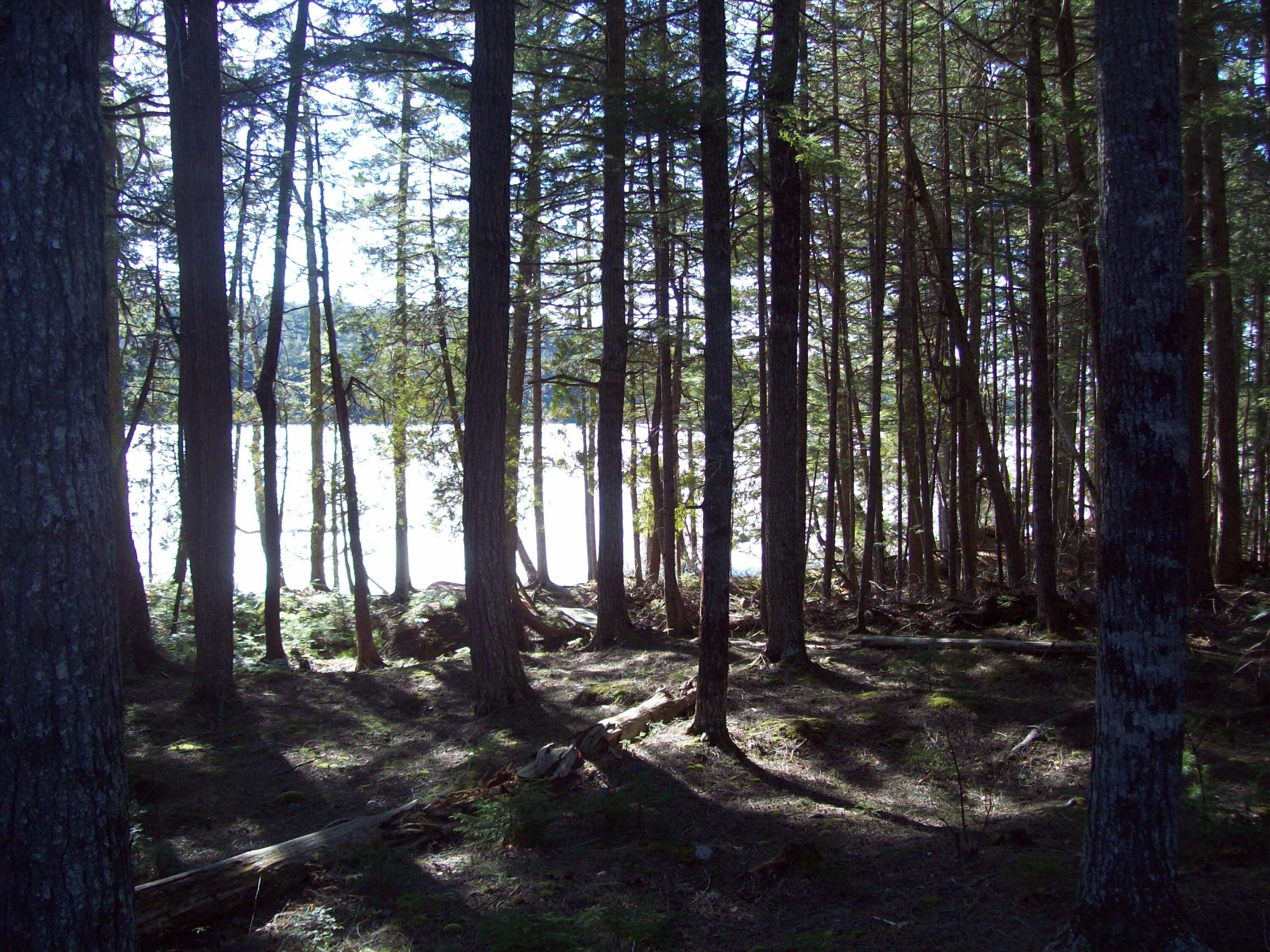 46 Pickerel Point Road Lakeville, ME 04487 - Photo 14 of 25 100_2678