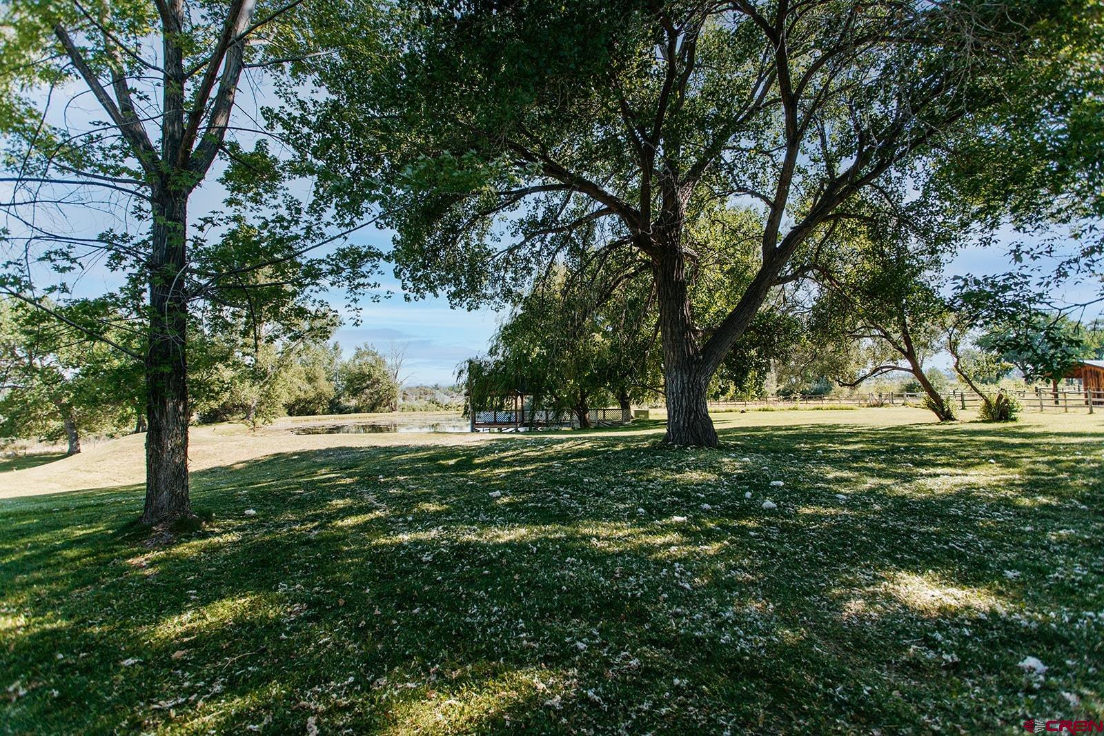 60428 Oasis Road Montrose, CO 81403 - Photo 36 of 45 Gallery Image 36