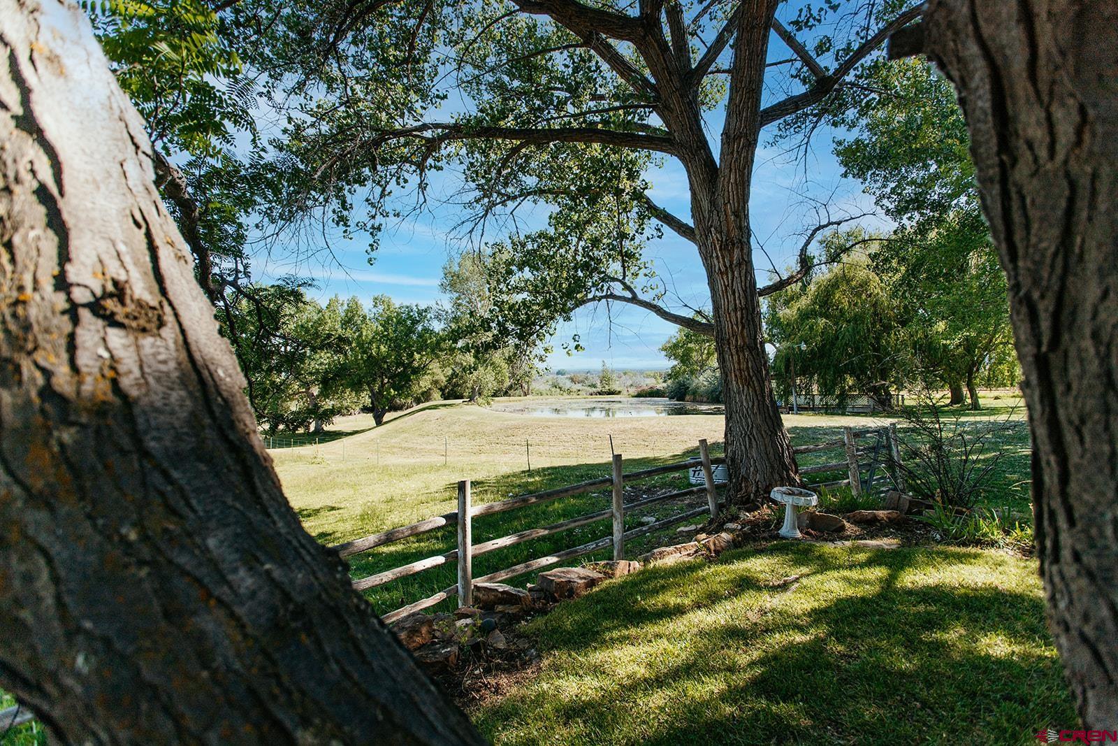 60428 Oasis Road Montrose, CO 81403 - Photo 4 of 45 Gallery Image 4