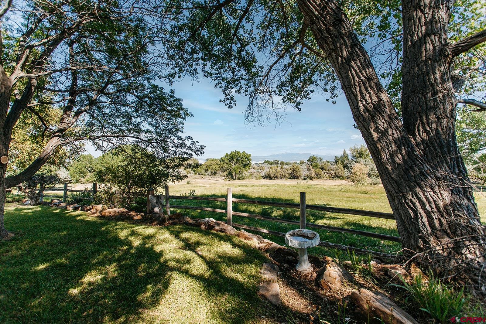 60428 Oasis Road Montrose, CO 81403 - Photo 6 of 45 Gallery Image 6