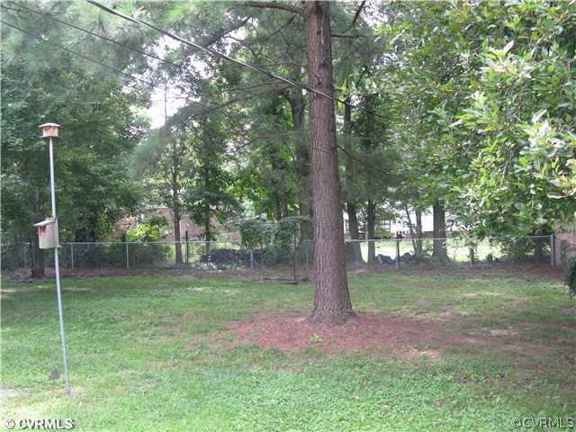 9407 Meadowgreen Road Richmond, VA 23294 - Photo 10 of 24 Yard/Garden