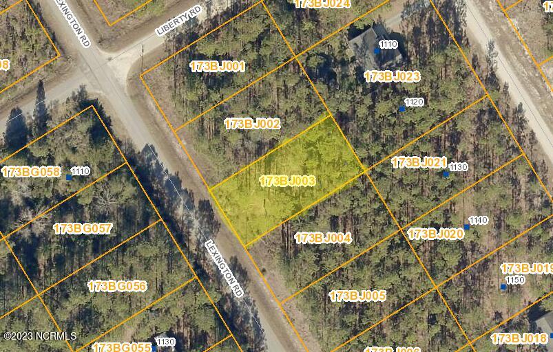 1121 Lexington Road Boiling Spring Lakes, NC 28461 - Photo 1 of 1 AERIAL PHOTO