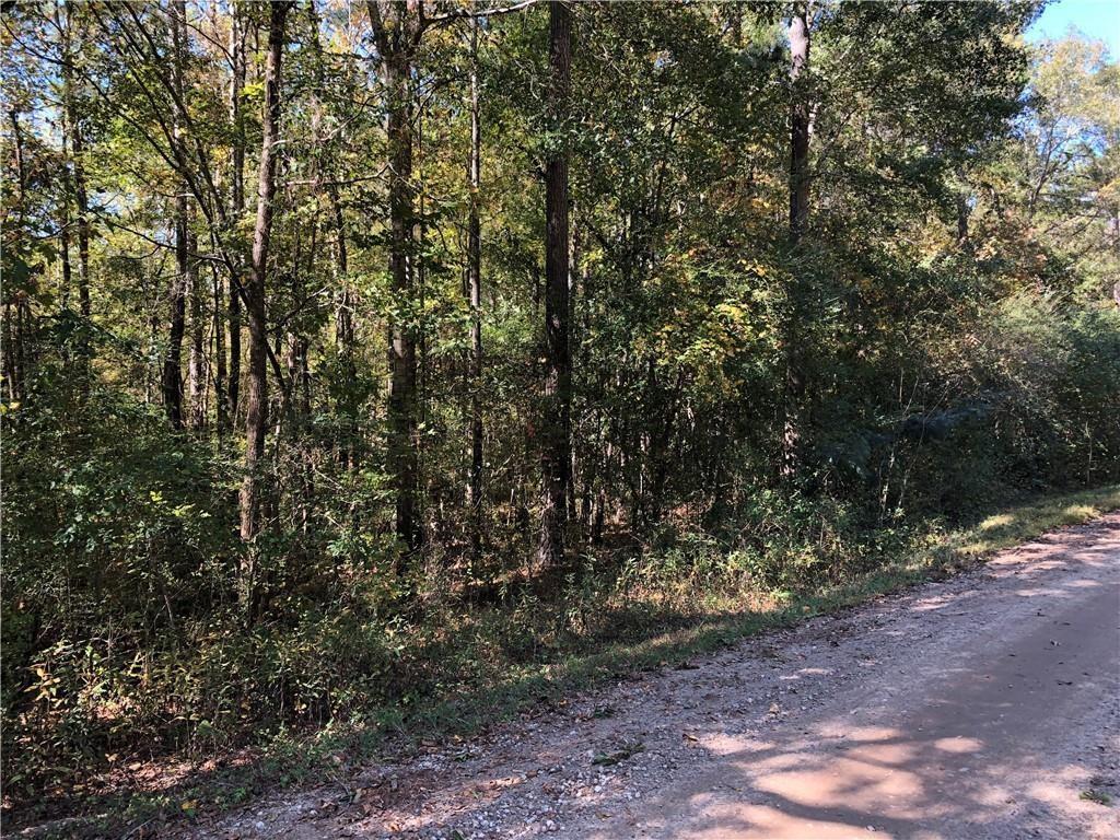 a view of outdoor space and trees