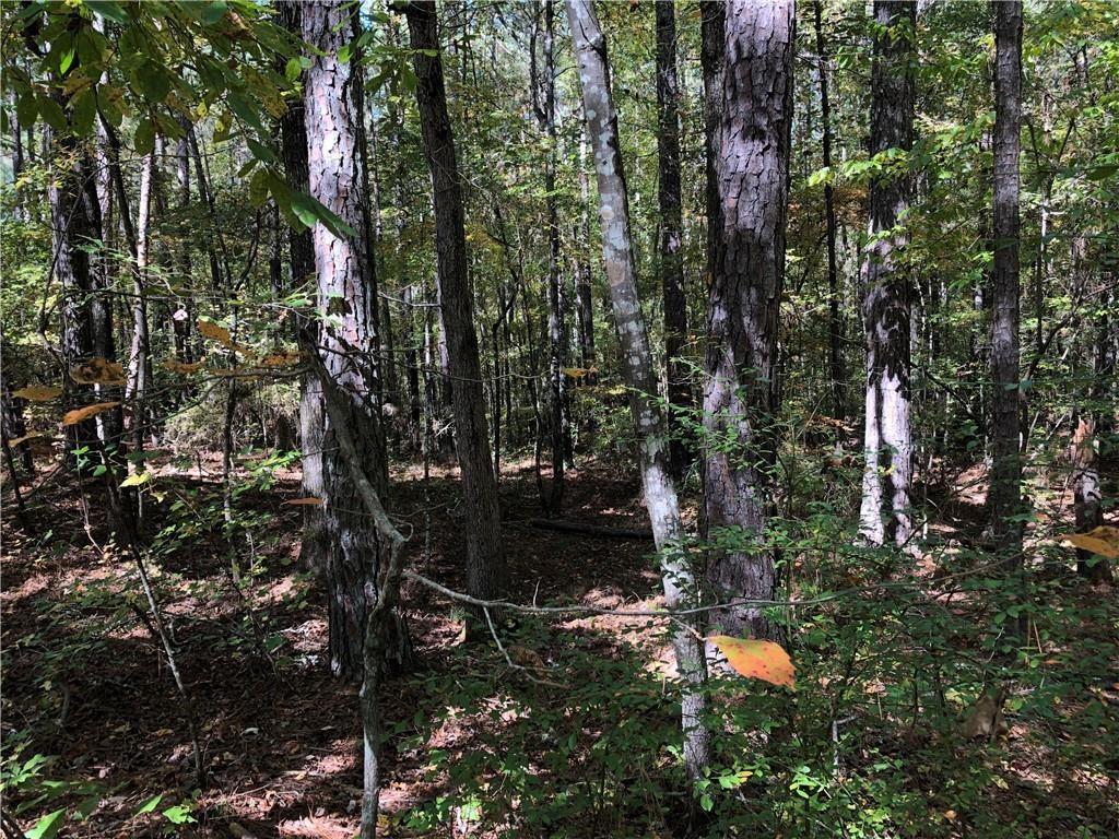0 Coady Road Jackson, GA 30233 - Photo 2 of 7 a backyard of a house with lots of green space