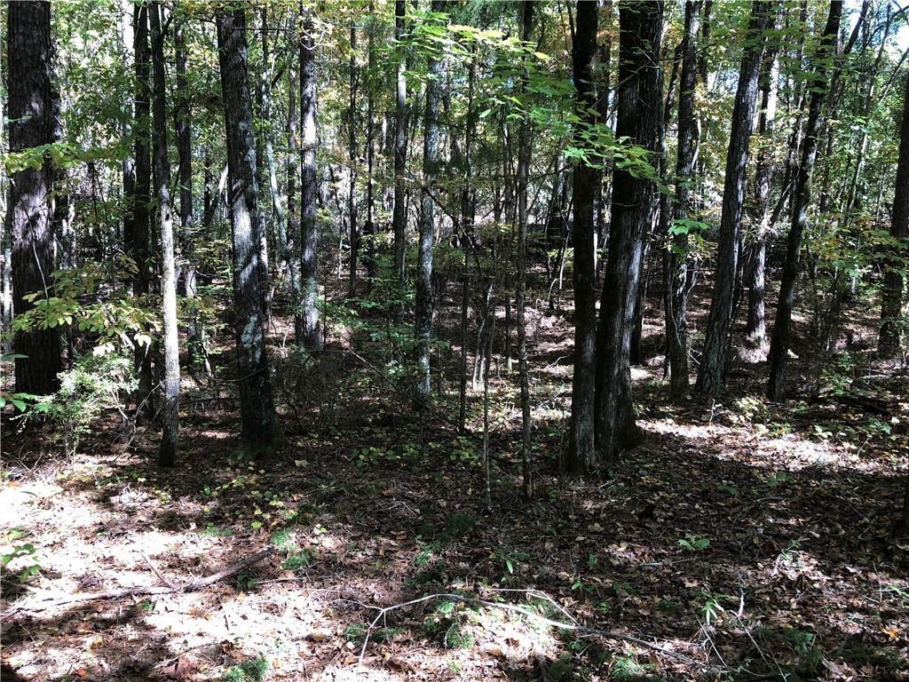 0 Coady Road Jackson, GA 30233 - Photo 3 of 7 a view of a trees