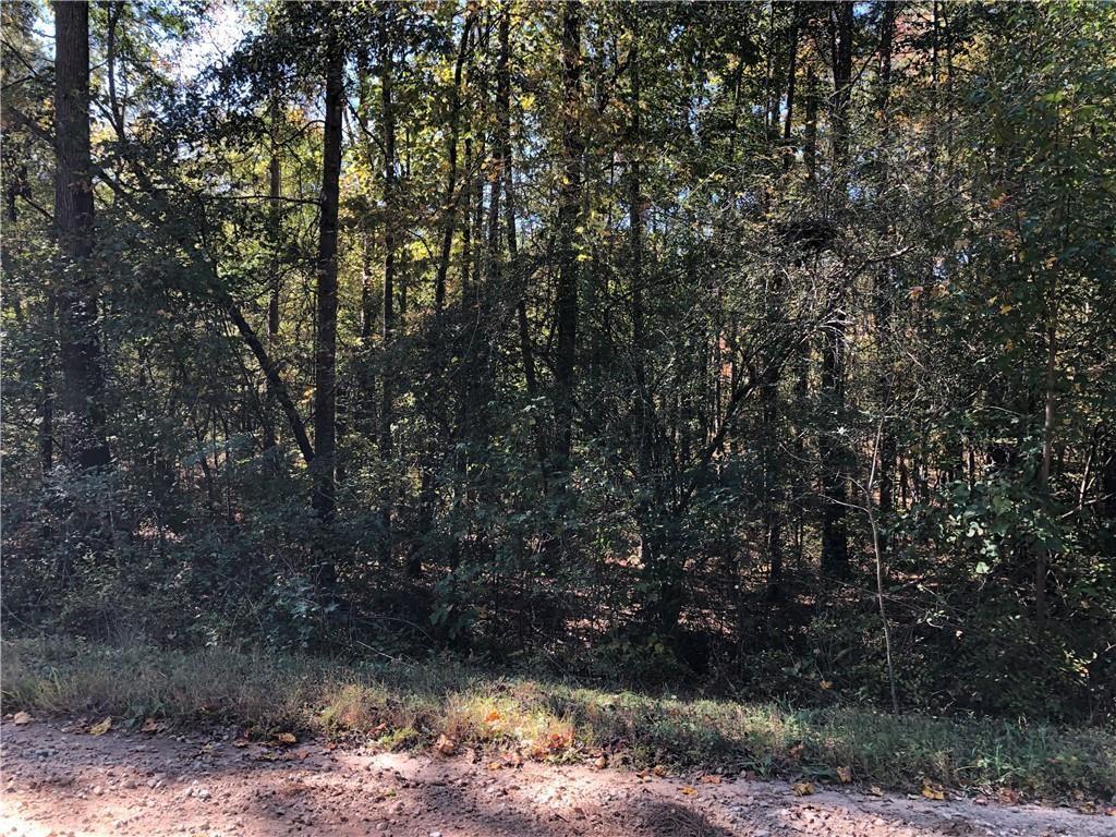 0 Coady Road Jackson, GA 30233 - Photo 5 of 7 a view of a yard