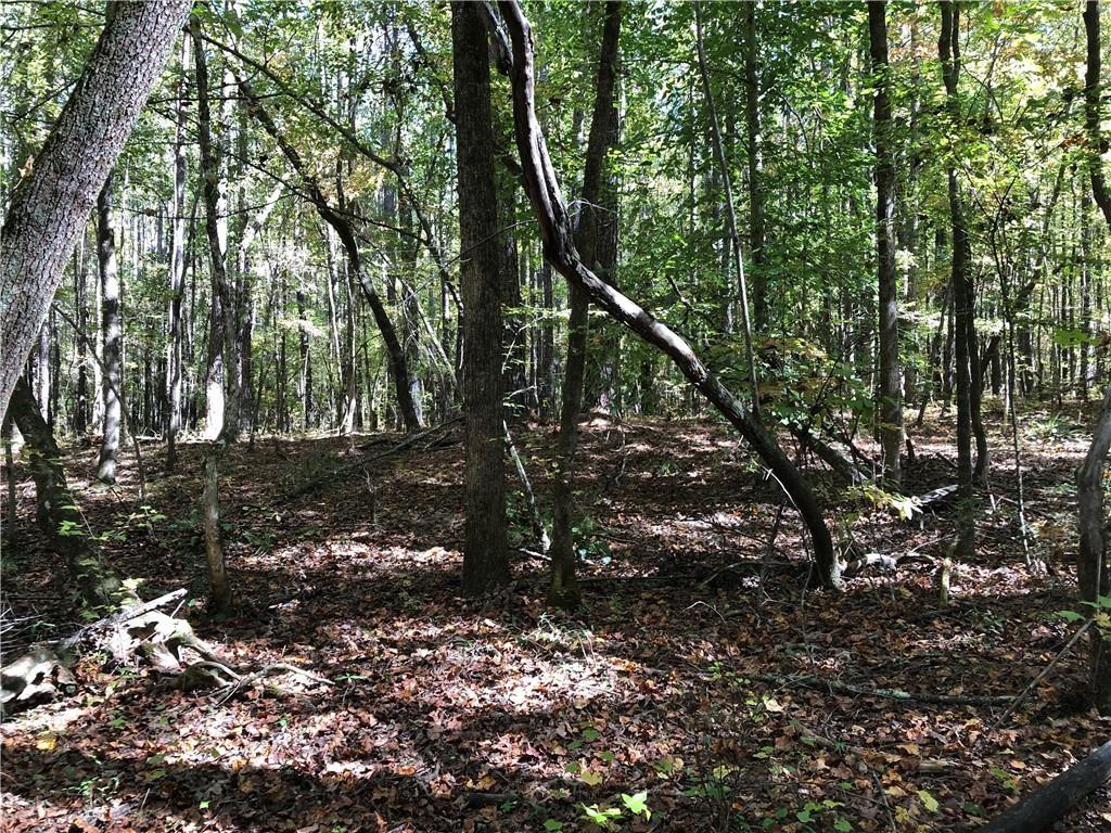 0 Coady Road Jackson, GA 30233 - Photo 6 of 7 a view of forest