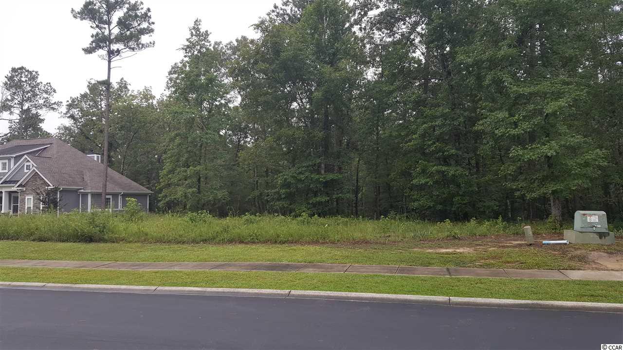 Lot 178 Chamberlin Road Myrtle Beach, SC 29588 - Photo 1 of 25 Gallery Image 1