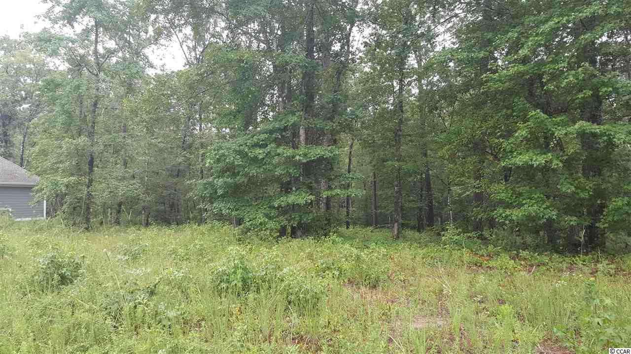 Lot 178 Chamberlin Road Myrtle Beach, SC 29588 - Photo 2 of 25 Gallery Image 2