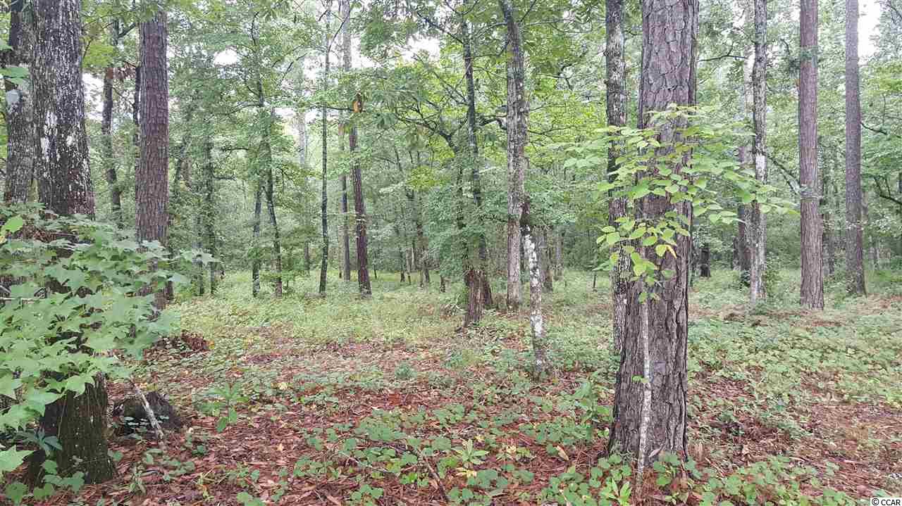 Lot 178 Chamberlin Road Myrtle Beach, SC 29588 - Photo 3 of 25 Gallery Image 3