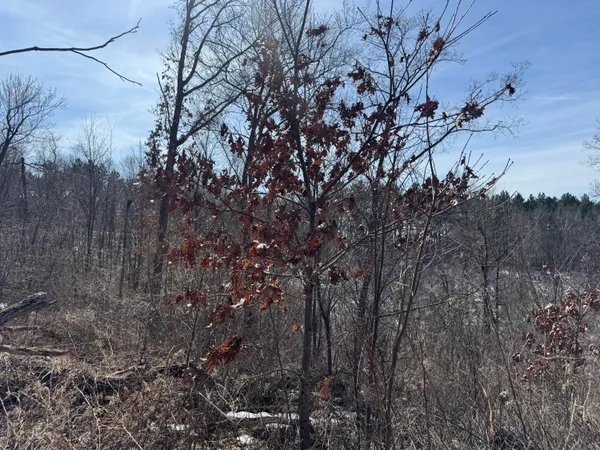 $718,000 | 0 Hwy 53 Gale Wi 54630, Galesville, WI 54630