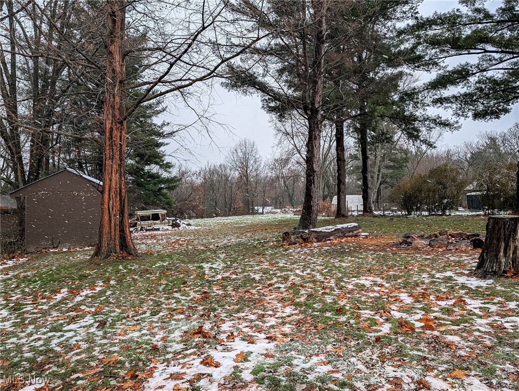 1872 Pickle Road Akron, OH 44312 - Photo 32 of 32 Redwood Tree