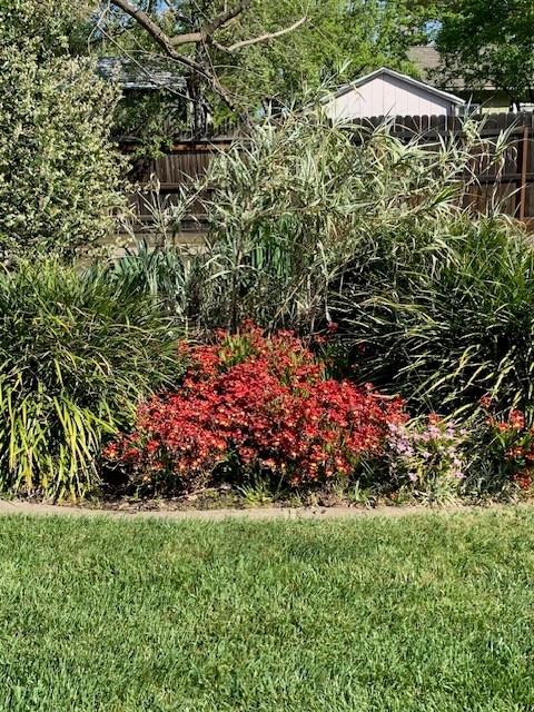 3710 Orchard Lane Sacramento, CA 95821 - Photo 16 of 78 Gallery Image 16