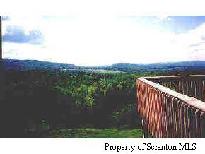 Tr Williams Road Susquehanna, PA 18820 - Photo 2 of 2 Gallery Image 2