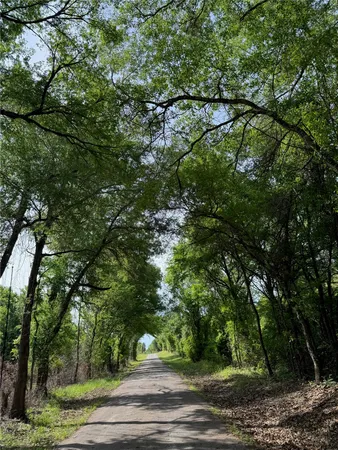a view of a yard with plants and trees