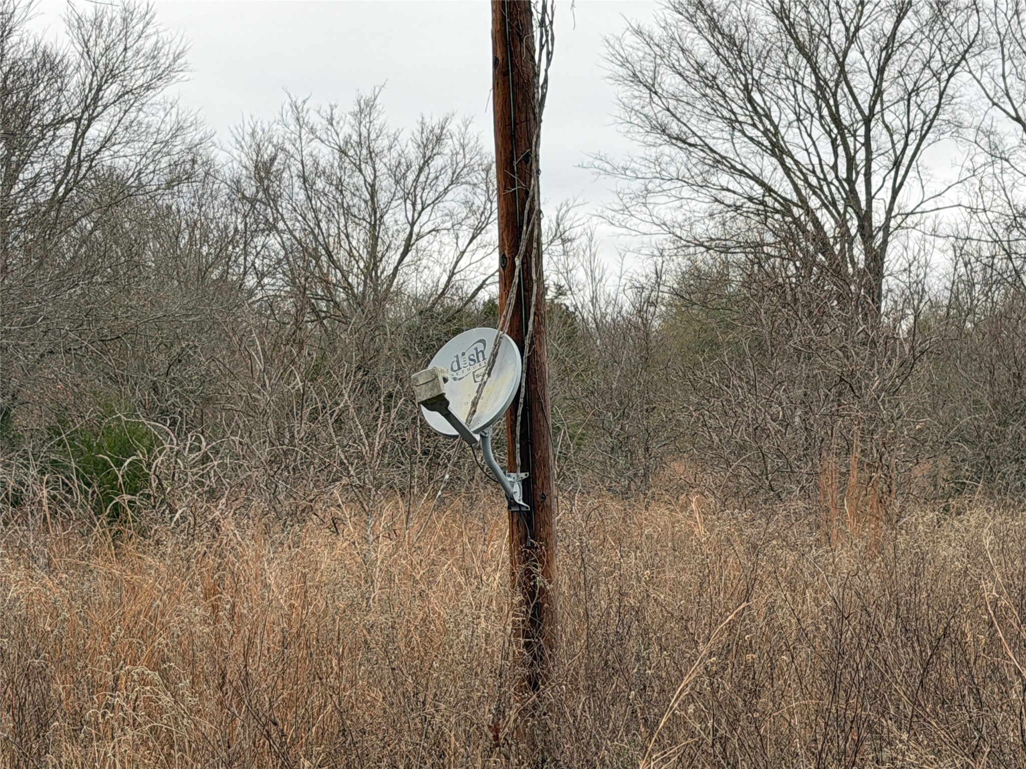 8590 Hammond Road Calvert, TX 77837 - Photo 12 of 22