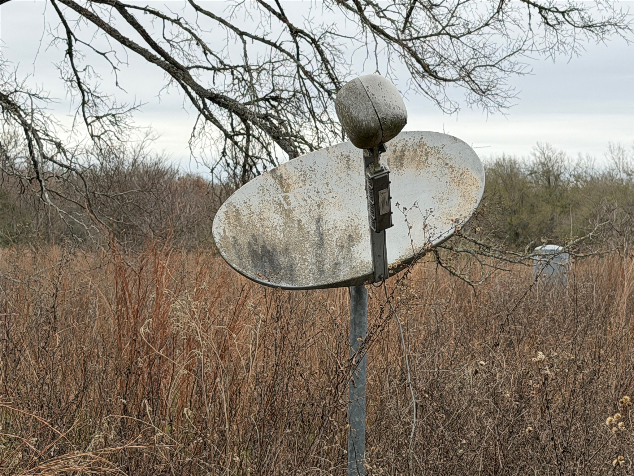 8590 Hammond Road Calvert, TX 77837 - Photo 13 of 22
