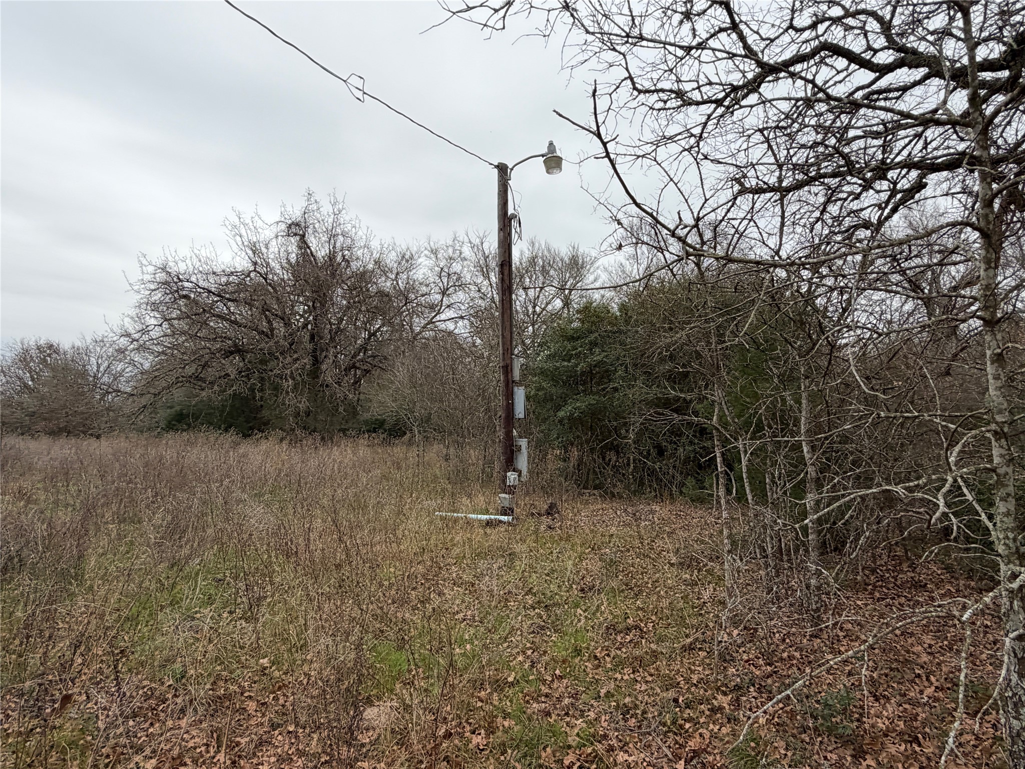 8590 Hammond Road Calvert, TX 77837 - Photo 15 of 22